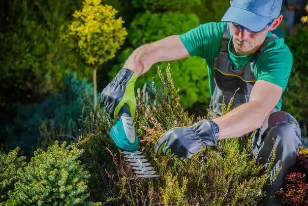 landscaping services Tribes Hill